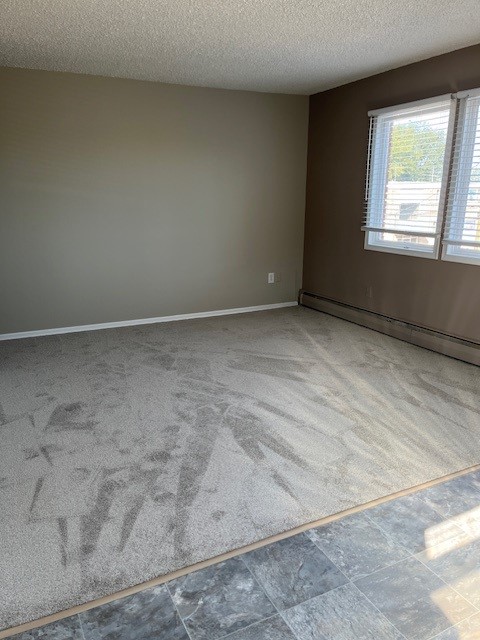 Spacious Bright 1 Bedroom Avalon Area